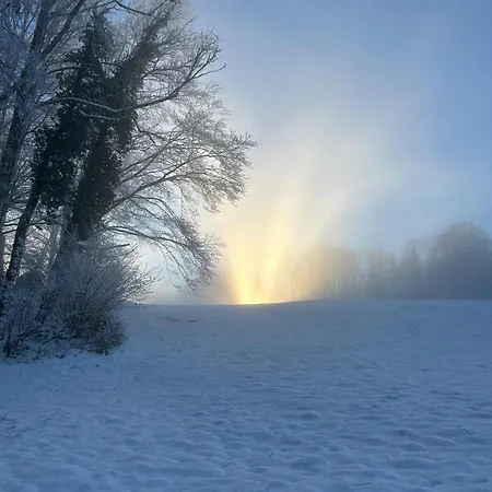 La P'Tite Maison Bois Du Herisson Menetrux-en-Joux Buitenkant foto