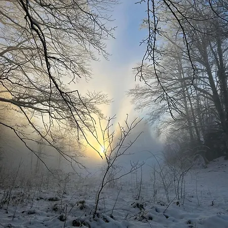 La P'Tite Maison Bois Du Herisson Menetrux-en-Joux Buitenkant foto